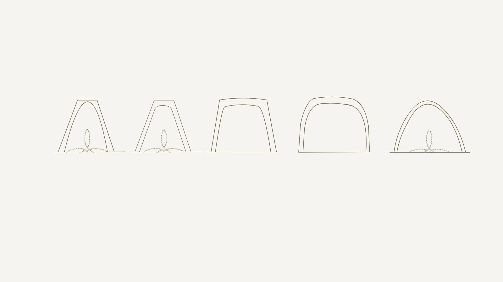 Dandelie's Toe Shapes Explained