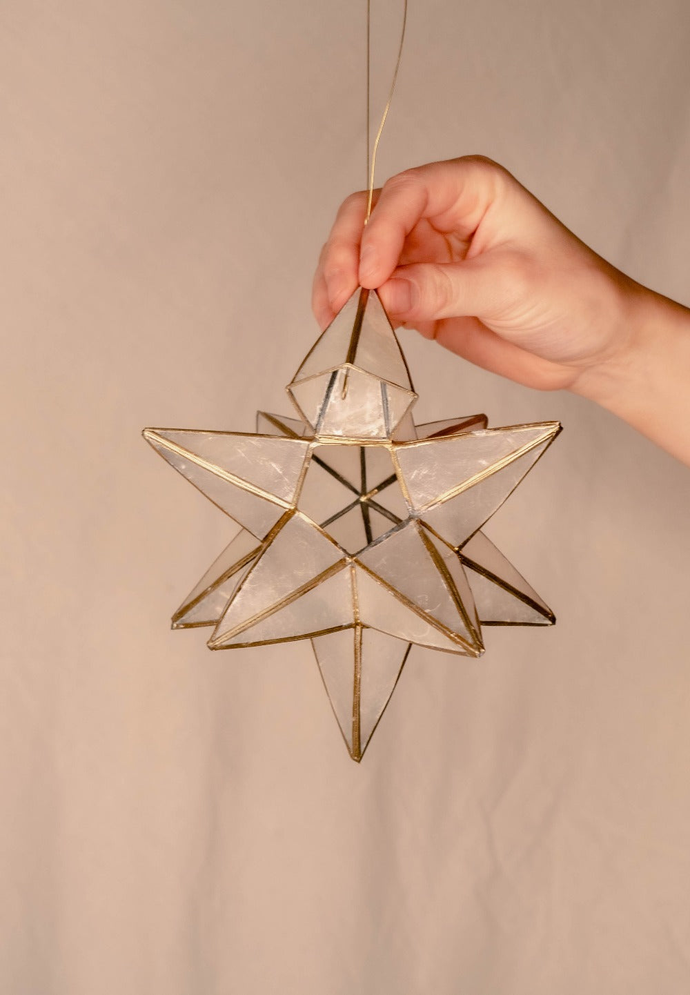 Stars light from pearl dandelie