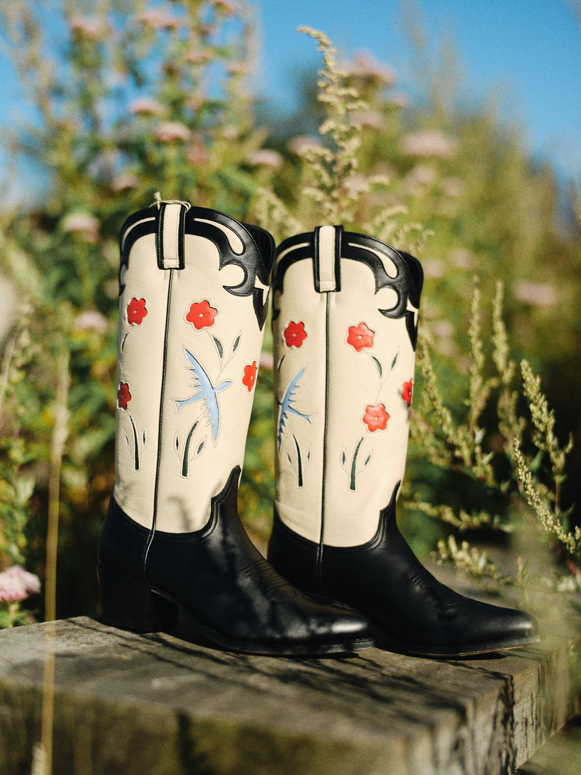 Colibri Tall Boots Black – Dandelie