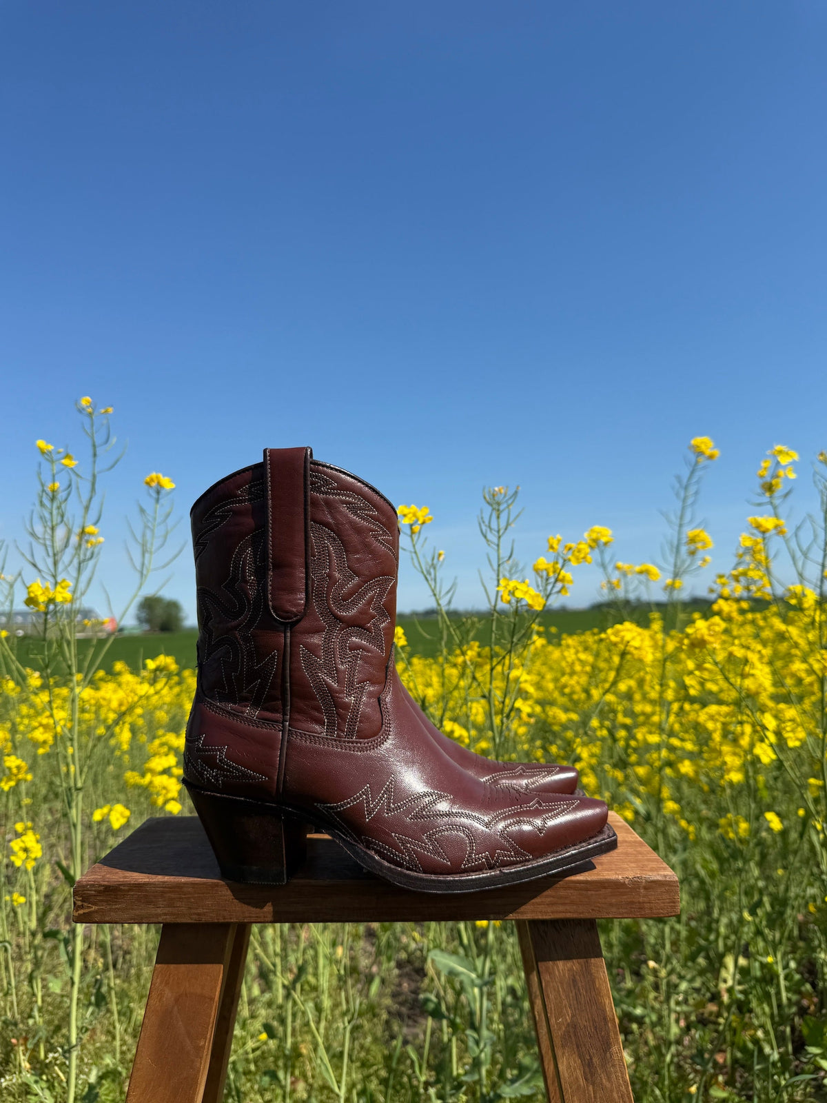 Classic Brown Western Cowboy Boots Wild West Men main image 4