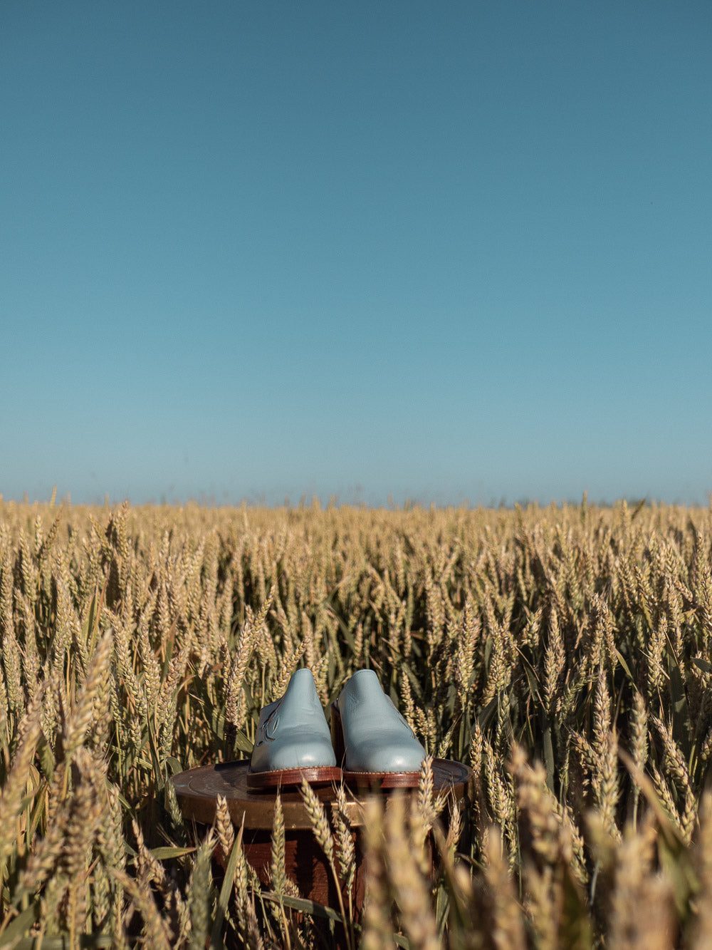 Sendra flower clogs mules blue